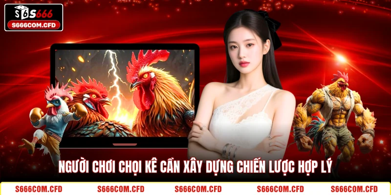 Người chơi chọi kê cần xây dựng chiến lược hợp lý
